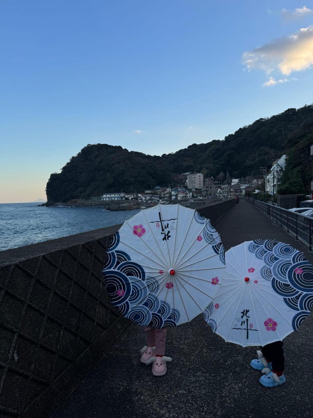 Hokkawa Onsen Hotel Higashiizu Dış mekan fotoğraf